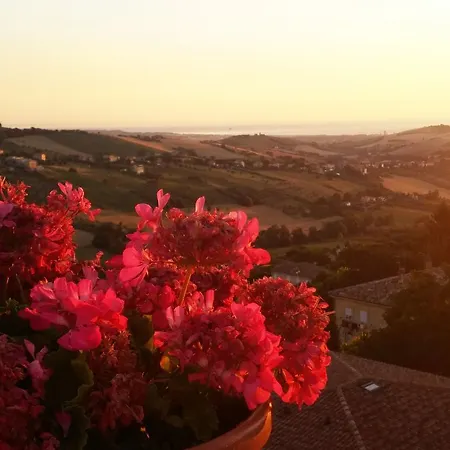 Bed & Breakfast B&B Le Terrazze Fermo *