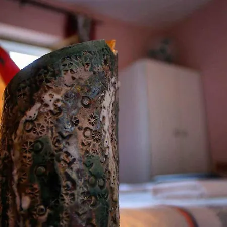 Bed & Breakfast Le Terrazze 3*